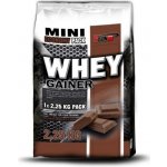 Vision Nutrition WHEY GAINER 2250 g – Hledejceny.cz