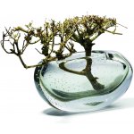 Váza AMARA 15 cm, zelená, Philippi – Hledejceny.cz
