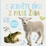 Z jehně ovce, z pulce žába - Životní cyklus – Zbozi.Blesk.cz