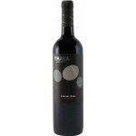 Thaya Premium Zweigeltrebe 2022 Červené 12,5% 0,75 l (holá láhev) – Hledejceny.cz