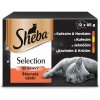 Sheba Select Slices in gravy šťvanatý výběr hovězí.jehně.kuře.krůta 12 x 85 g