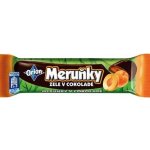 ORION MERUŇKY v čokoládě 45 g – Zboží Dáma