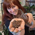 Piniová kůra 4-8mm 1 litr – Zboží Mobilmania