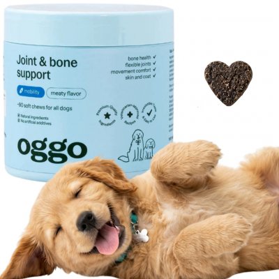Oggo Joint & Bone Support kousky 180 g 90 ks – Hledejceny.cz