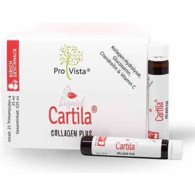 ProVista Cartila Collagen Drink kloubní výživa 21 x 25 ml – Hledejceny.cz