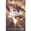 Komiks a manga Black Panther: The Man Without Fear - David Liss