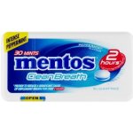 Mentos CleanBreath Peppermint 21 g – Sleviste.cz