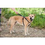 Karlie-Flamingo Bezpečnostní postroj do auta M 47-76 x 2,5 cm – Hledejceny.cz