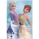 Exity Dětská fleecová deka Ledové království motiv princezny s Olafem – Sleviste.cz