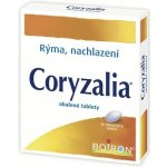 CORYZALIA POR TBL OBD 40 – Sleviste.cz