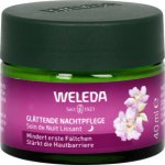 Weleda Divoká růže a bílý čaj rozjasňující noční krém 40 ml – Zboží Dáma