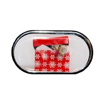 Optipak Limited pouzdro se zrcátkem Vánoční motiv Kotě v krabici