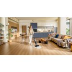 Tineco Floor One S5 Stretch Gold – Hledejceny.cz