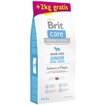 Brit Care Grain-free Junior Large Breed Salmon & Potato 14 kg – Hledejceny.cz