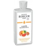 Maison Berger náplň do katalytické lampy Grapefruit 500 ml – Zboží Mobilmania