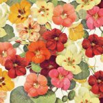 Papírový ubrousek Summer Bloom – Hledejceny.cz