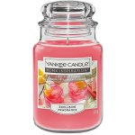 Yankee Candle Fizzy Fruit Punch 538 g – Zboží Dáma