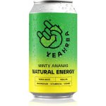Yeahrba Yerba Maté Minty Ananas přírodní energetický nápoj 330 ml – Zboží Dáma