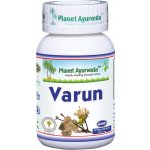 Planet Ayurveda Varuna 60 kapslí – Hledejceny.cz