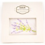 Etex kapesník L35 dárková krabička Levandule 1 ks – Zboží Dáma