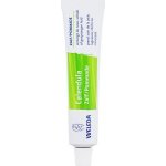 WELEDA Měsíčková mast 25 g – Zboží Dáma
