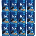 Brit Premium Cat Kitten Chicken Chunks 100 g – Sleviste.cz