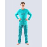 Gina dětské pyžamo 2021 69001P šalvěj lahvová – Hledejceny.cz