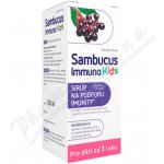 Sambucus Immuno kids sirup 120 ml – Zboží Mobilmania