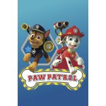 Setino Dívčí fleecová deka Tlapková patrola Paw Patrol s obrázkem štěňat Skye a Everest – Zboží Mobilmania