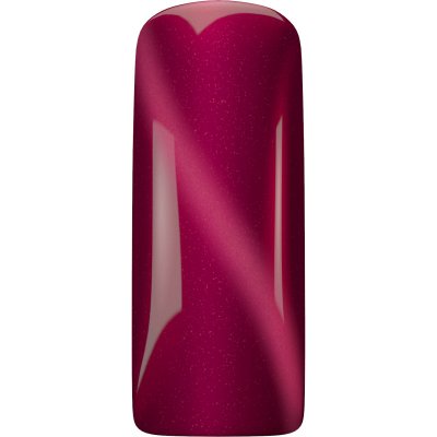 Magnetic Nail Magnetický Cat Eye Tourmaline Magnetický gel lak na nehty Kočičí oko 15 ml – Zbozi.Blesk.cz