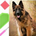 NORIMPEX Diamantové malování Německý ovčák 30 x 40 cm – Hledejceny.cz