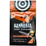 Kannabia Seeds Oreoz USA semena neobsahují THC 10 ks – Hledejceny.cz