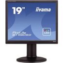 Monitor iiyama B1980SD