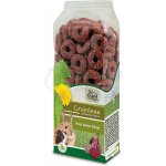 JR Farm Bezobilné řepové kroužky 100 g – Zbozi.Blesk.cz