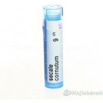 SECALE CORNUTUM POR 9CH GRA 1X4G – Hledejceny.cz