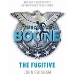 Theodore Boone: The Fugitive – Hledejceny.cz
