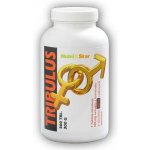 Nutristar Tribulus E Kotvičník 300 tablet – Hledejceny.cz