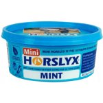HORSLYX Liz pro koně Mint 0,65 kg – Hledejceny.cz