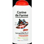 Corine de Farme Avengers 2v1 sprchový gel a šampon na vlasy pro děti 300 ml – Hledejceny.cz