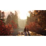 Life is Strange 2 – Zboží Mobilmania