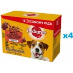 Pedigree Adult Výběr příchutí v želé s hovězím masem s kuřecím masem s jehněčím s drůbeží 48 x 100 g – Sleviste.cz