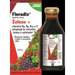 Salus Floradix sirup proti únavě 250 ml – Zbozi.Blesk.cz