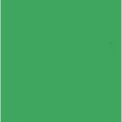 Falcon Eyes papírové pozadí 2,75 m x 11 m - Zelená chromová (46)
