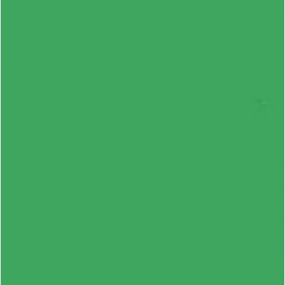 Falcon Eyes papírové pozadí 2,75 m x 11 m - Zelená chromová (46) – Hledejceny.cz