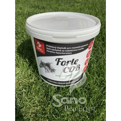 Sano Pro EQUI Živá kvasinková kultura Forte COB bez biotinu 10 kg – Hledejceny.cz