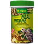 Tropical Meal Worms 250 ml – Zboží Dáma