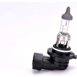 Bosch Pure Light H10 PY20d 12V 42W 1987302083 – Hledejceny.cz