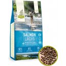 ISE River Junior Salmon with Berries Grain Free 12 kg