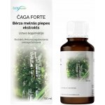 Viola Herbs Czaga Forte Extrakt 90 ml – Hledejceny.cz
