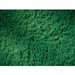 Auhagen Travní koberec tmavě zelená rozměr 150 x 250 mm 76670 – Hledejceny.cz